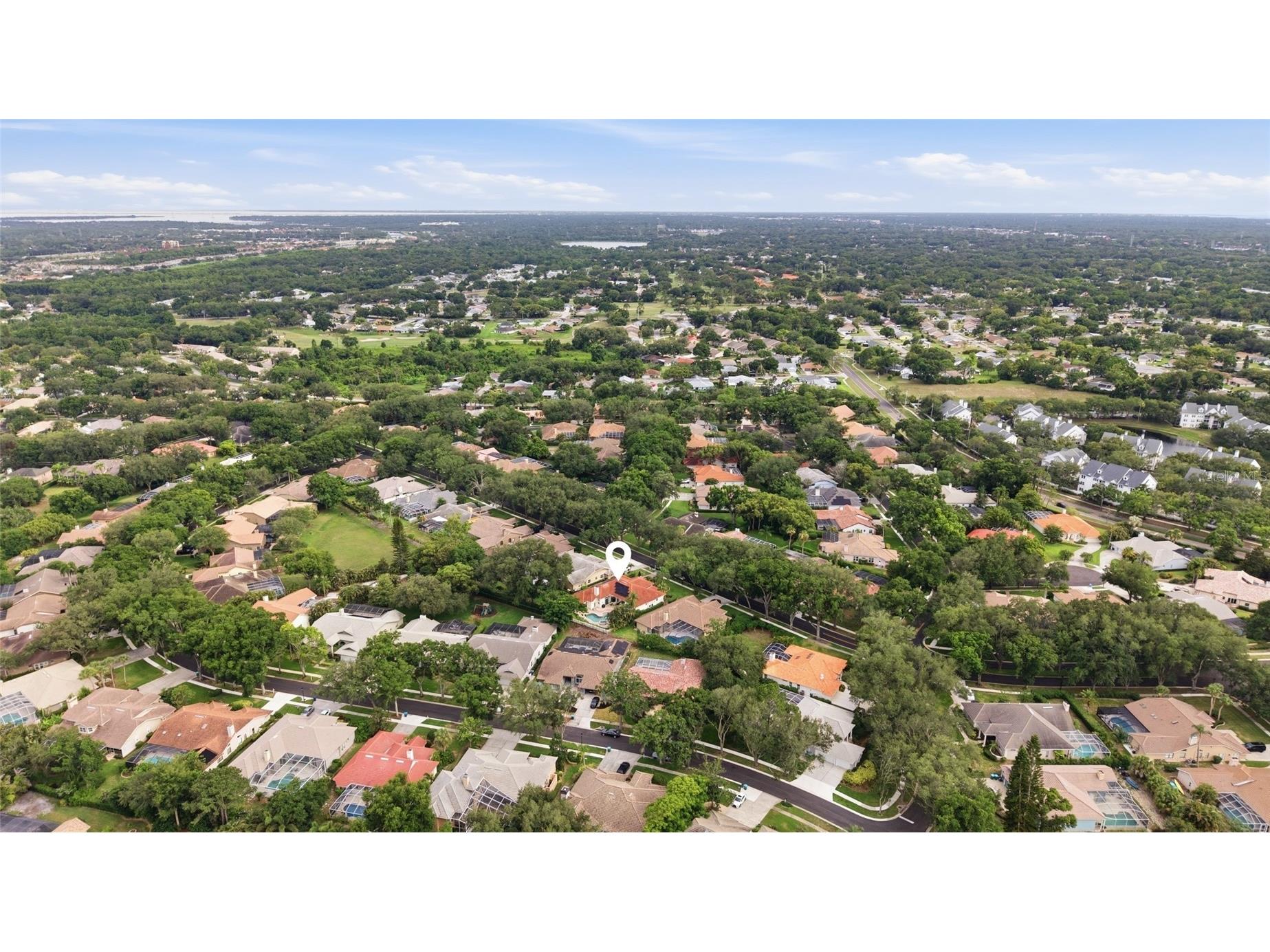 3459 Woodridge Parkway Palm Harbor FL 34684 - LAKE TARPON TB8518519 image65