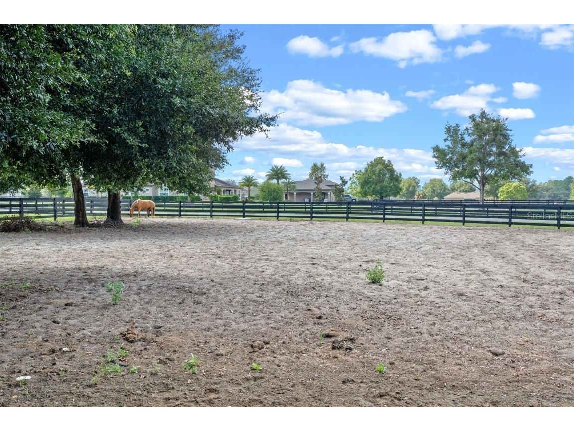 34595 Seneca Reserve Drive Eustis FL 32736 O6339317 image38