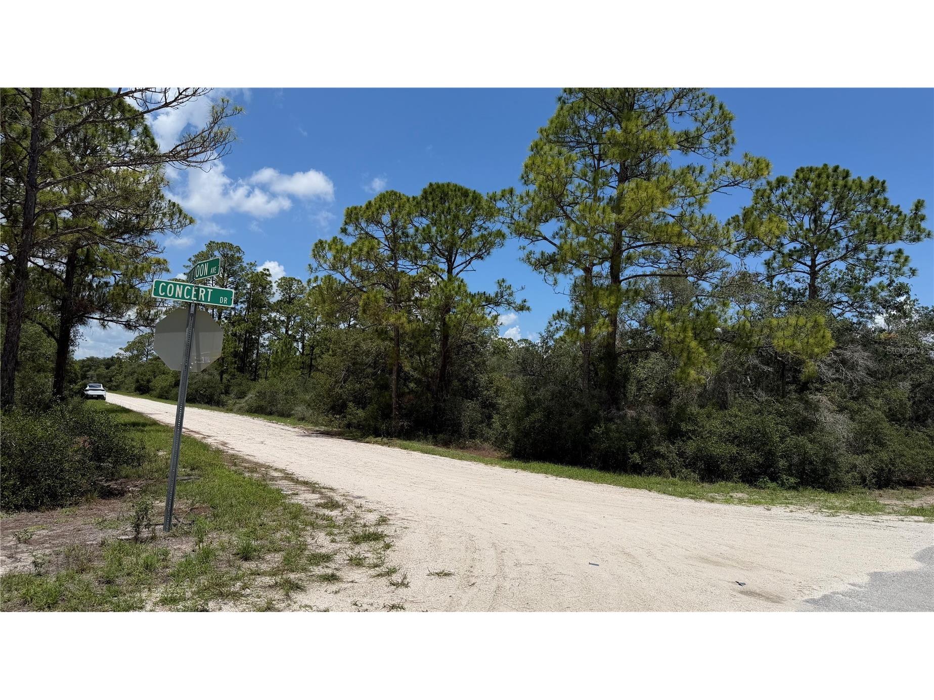 346 Blue Moon Ave Lake Placid FL 33852 O6420019 image2