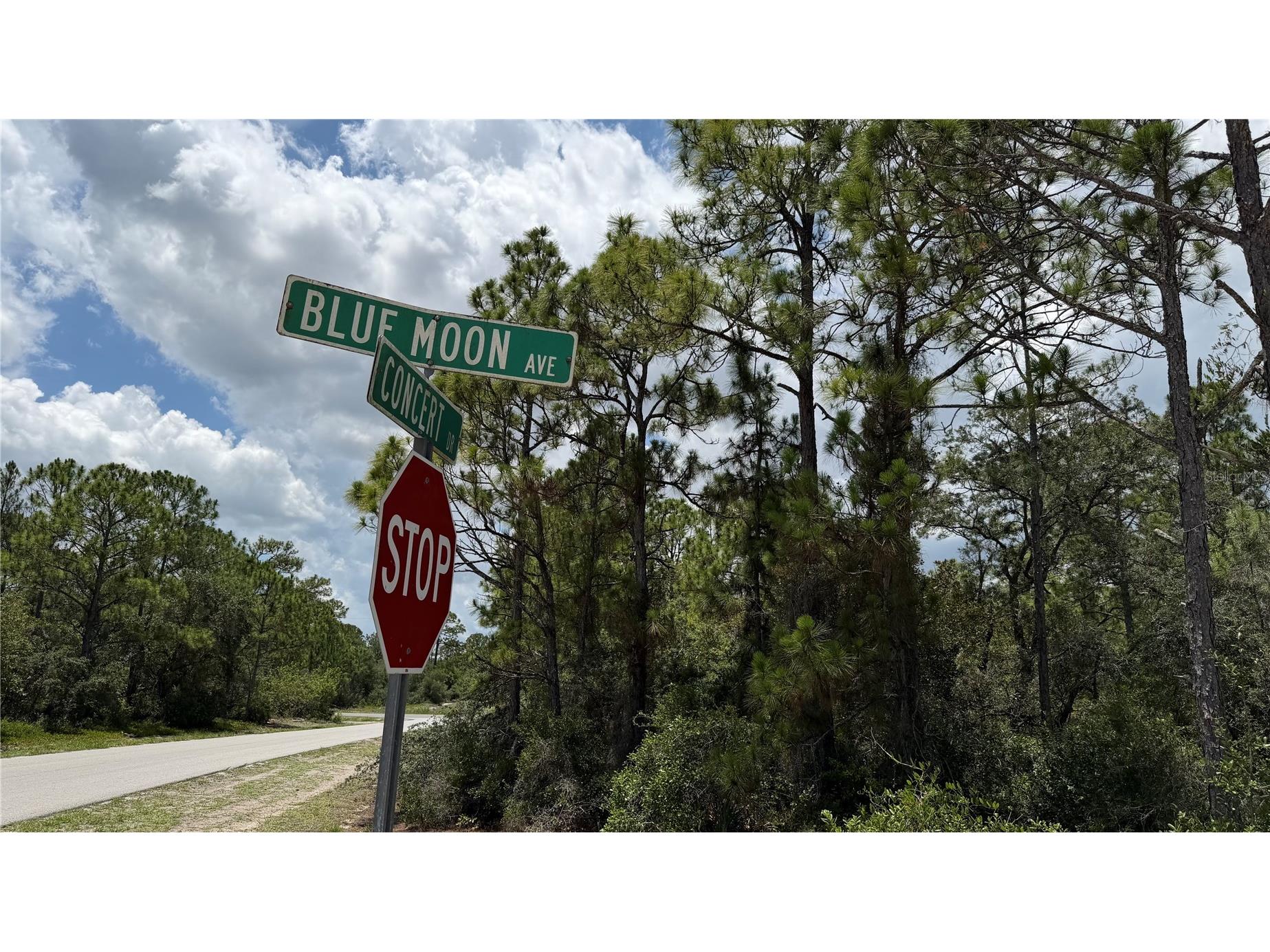 346 Blue Moon Ave Lake Placid FL 33852 O6420019 image7