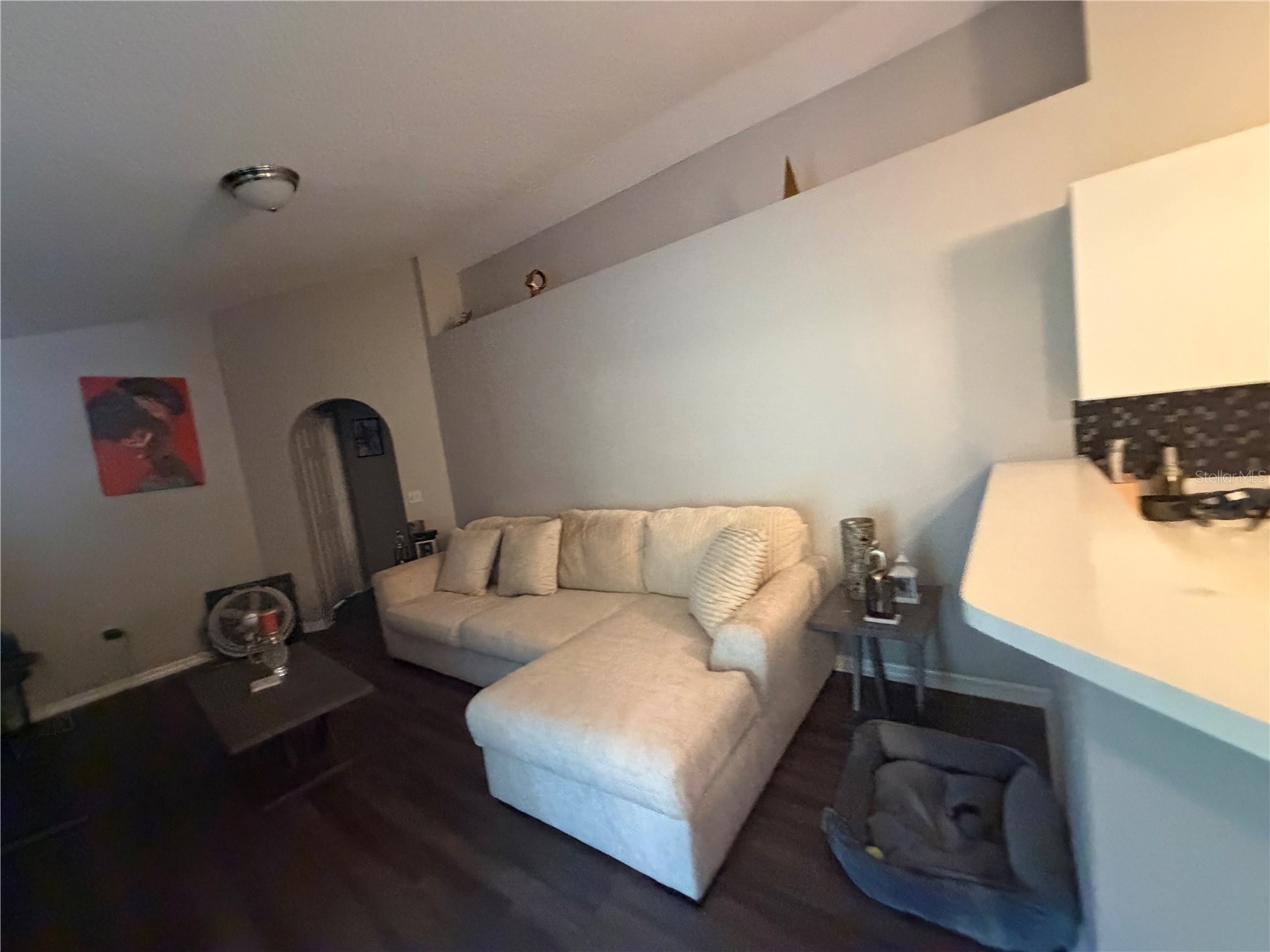 346 Cocoa Court Kissimmee FL 34758 A4696028 image5