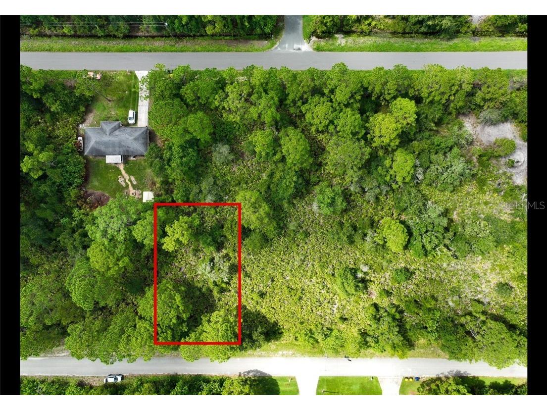 346 Comanche Street NW Lake Placid FL 33852 T3542903 image1
