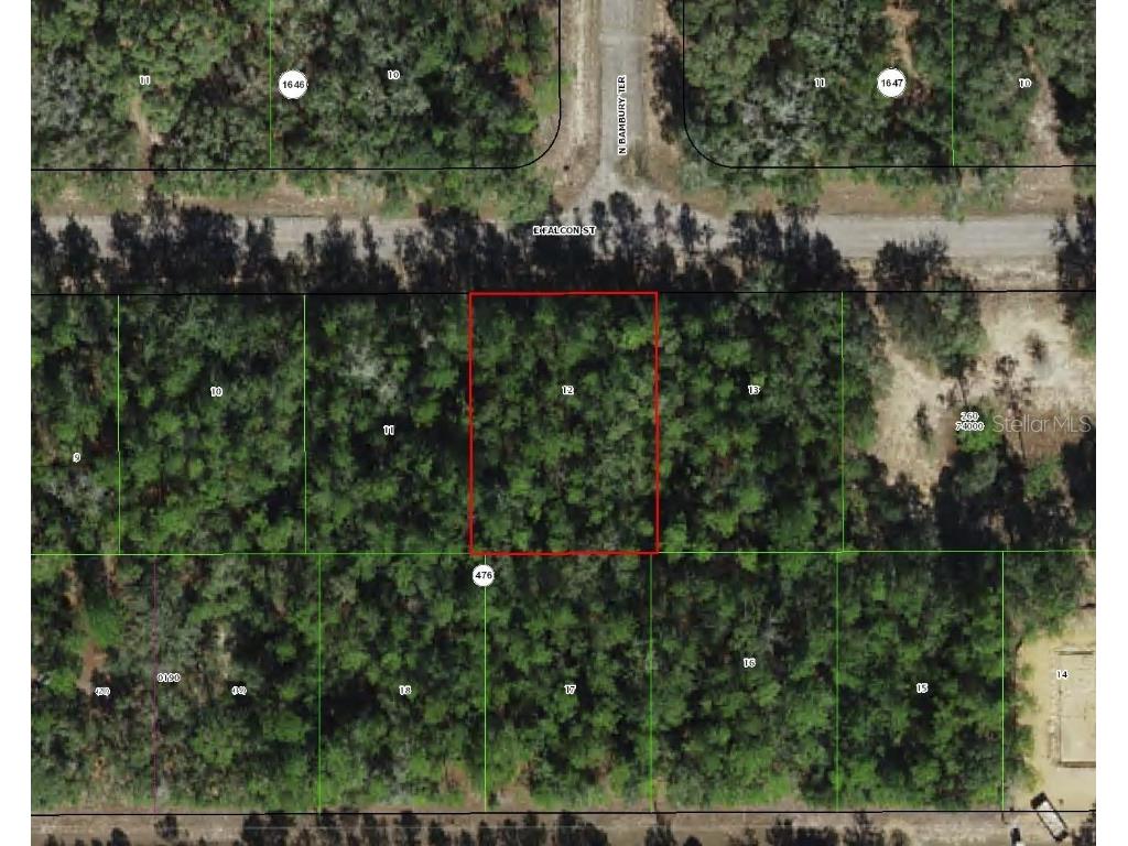 346 E Falcon Street Dunnellon FL 34434 TB8415667 image1