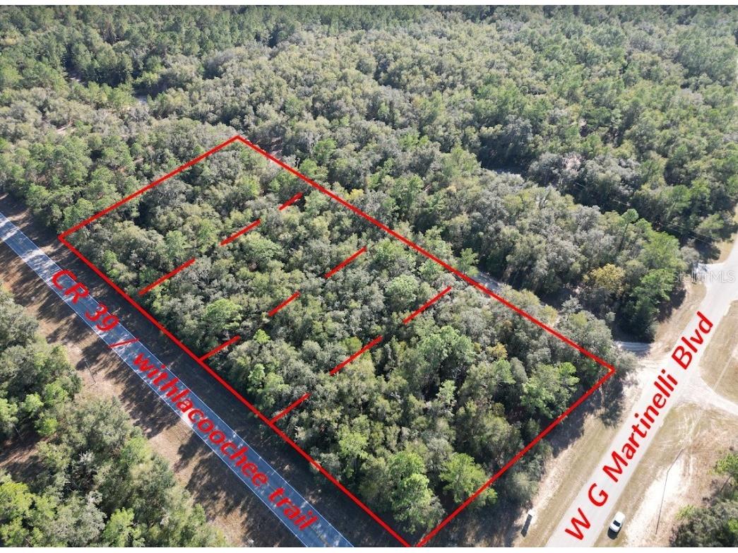 346 E Withlacoochee Trail Citrus Springs FL 34434 OM648955 image1