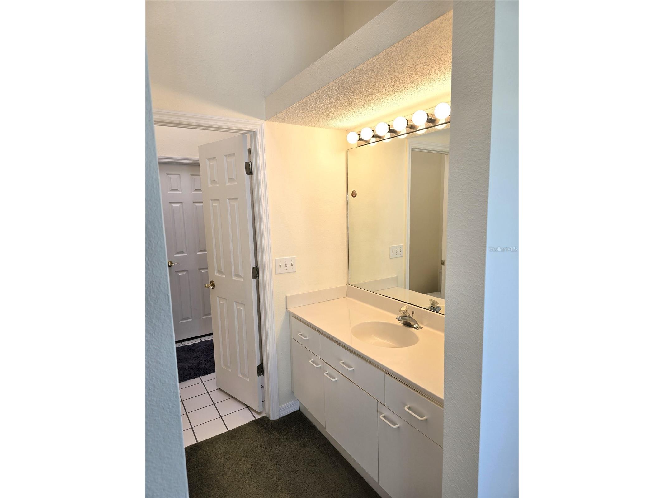 346 Madeira Circle Tierra Verde FL 33715 TB8466162 image10
