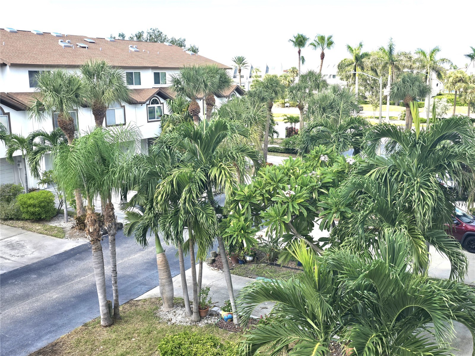 346 Madeira Circle Tierra Verde FL 33715 TB8466162 image16