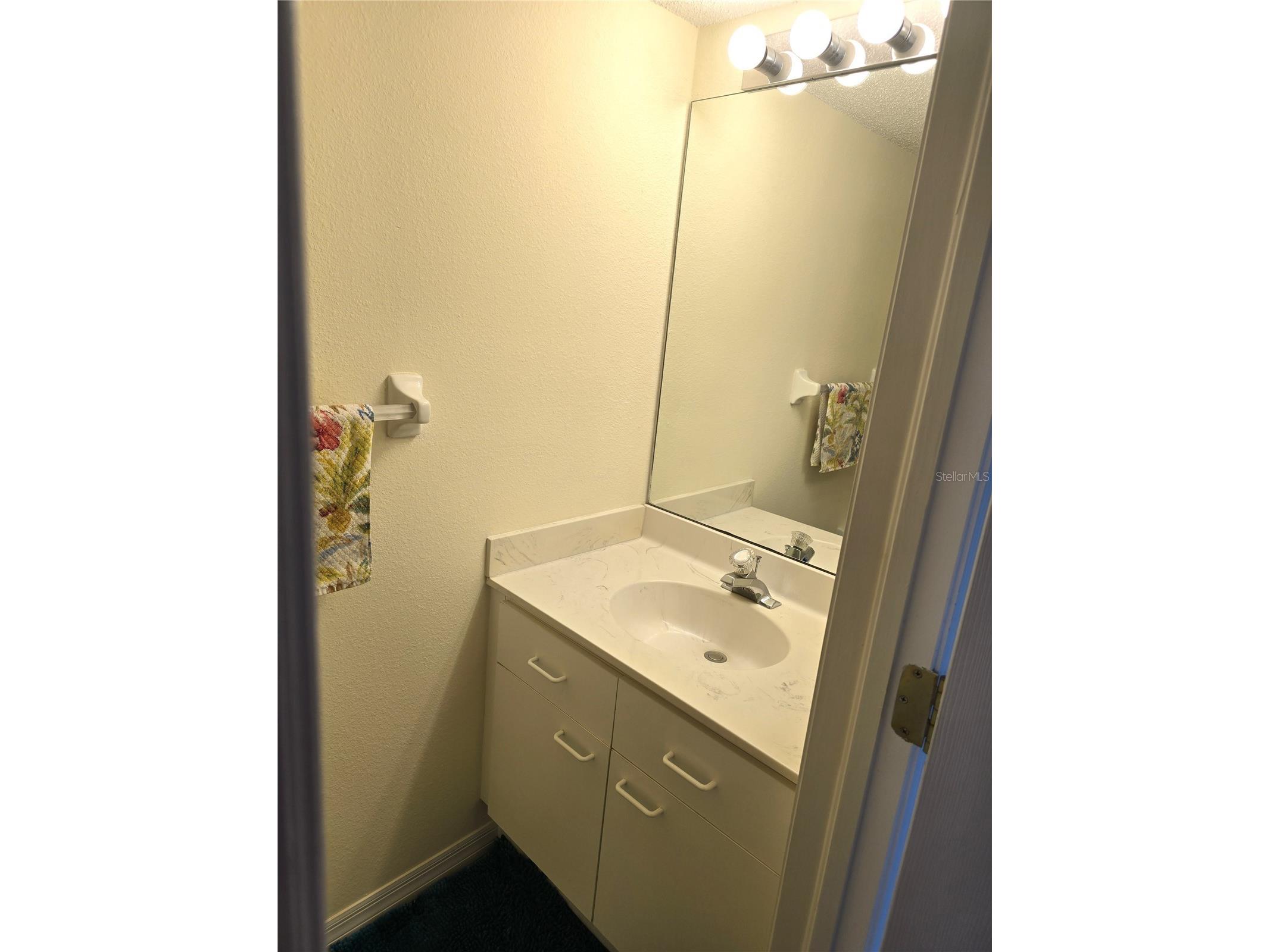 346 Madeira Circle Tierra Verde FL 33715 TB8466162 image7