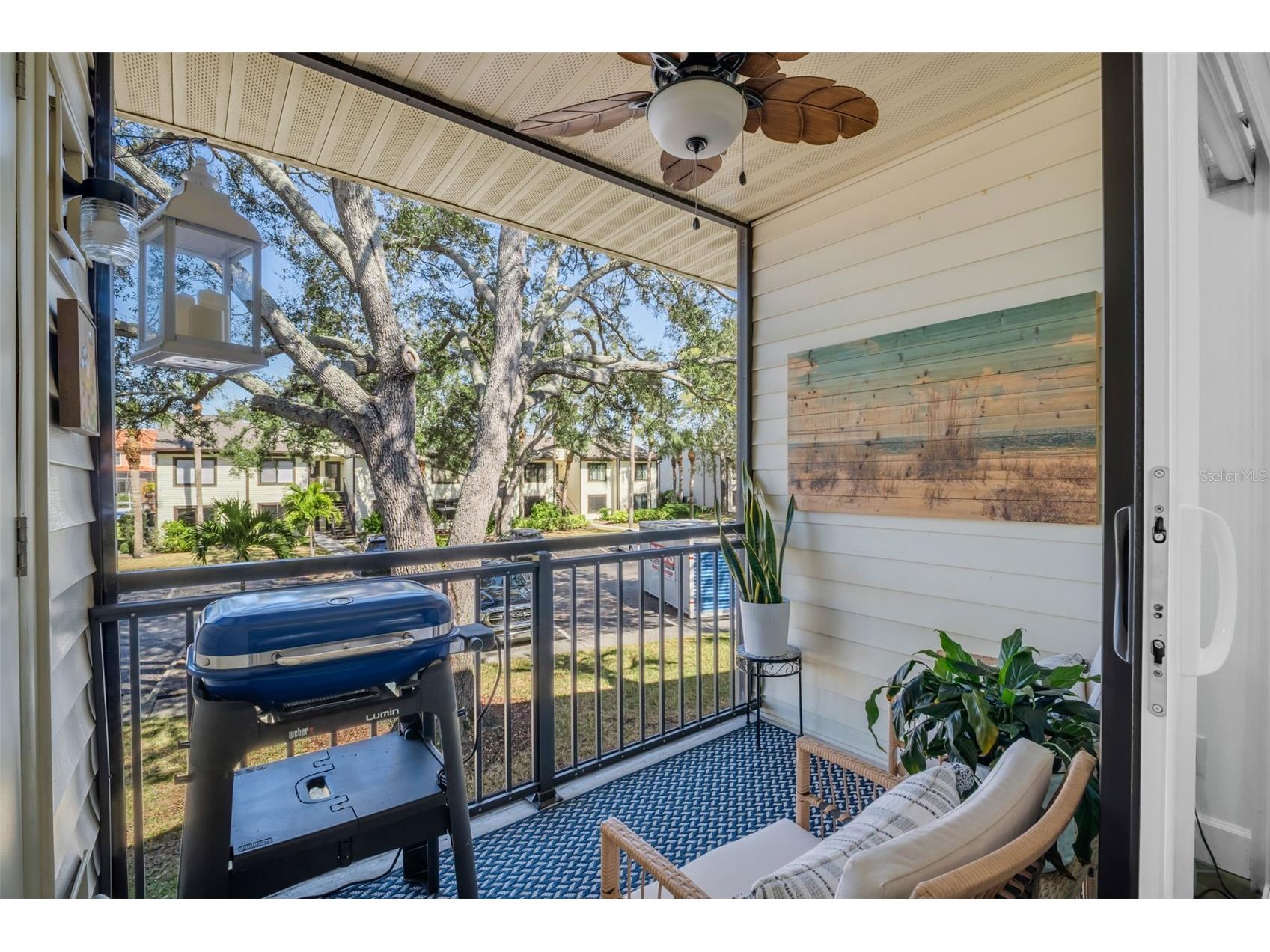346 Moorings Cove Drive Tarpon Springs FL 34689 TB8476581 image12