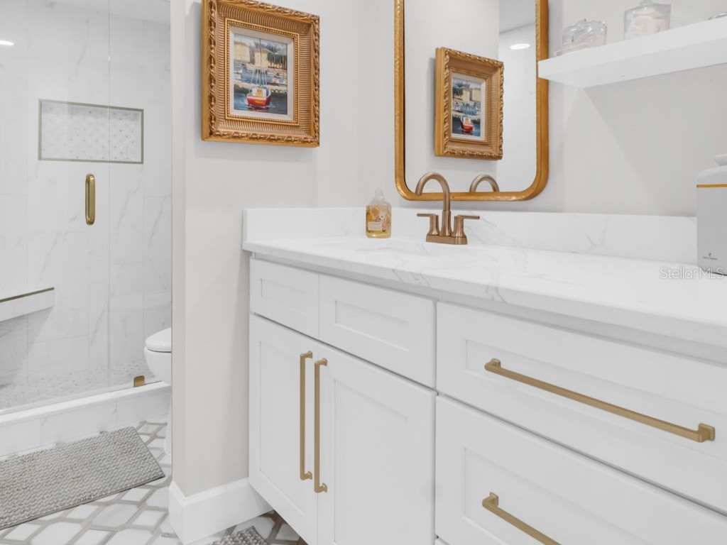 346 Moorings Cove Drive Tarpon Springs FL 34689 TB8476581 image18