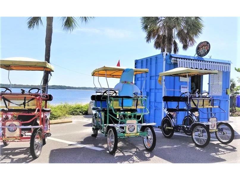 346 Moorings Cove Drive Tarpon Springs FL 34689 TB8476581 image53
