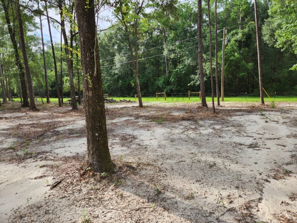 346 NE Laurie Lane Mayo FL 32066 T3465929 image1