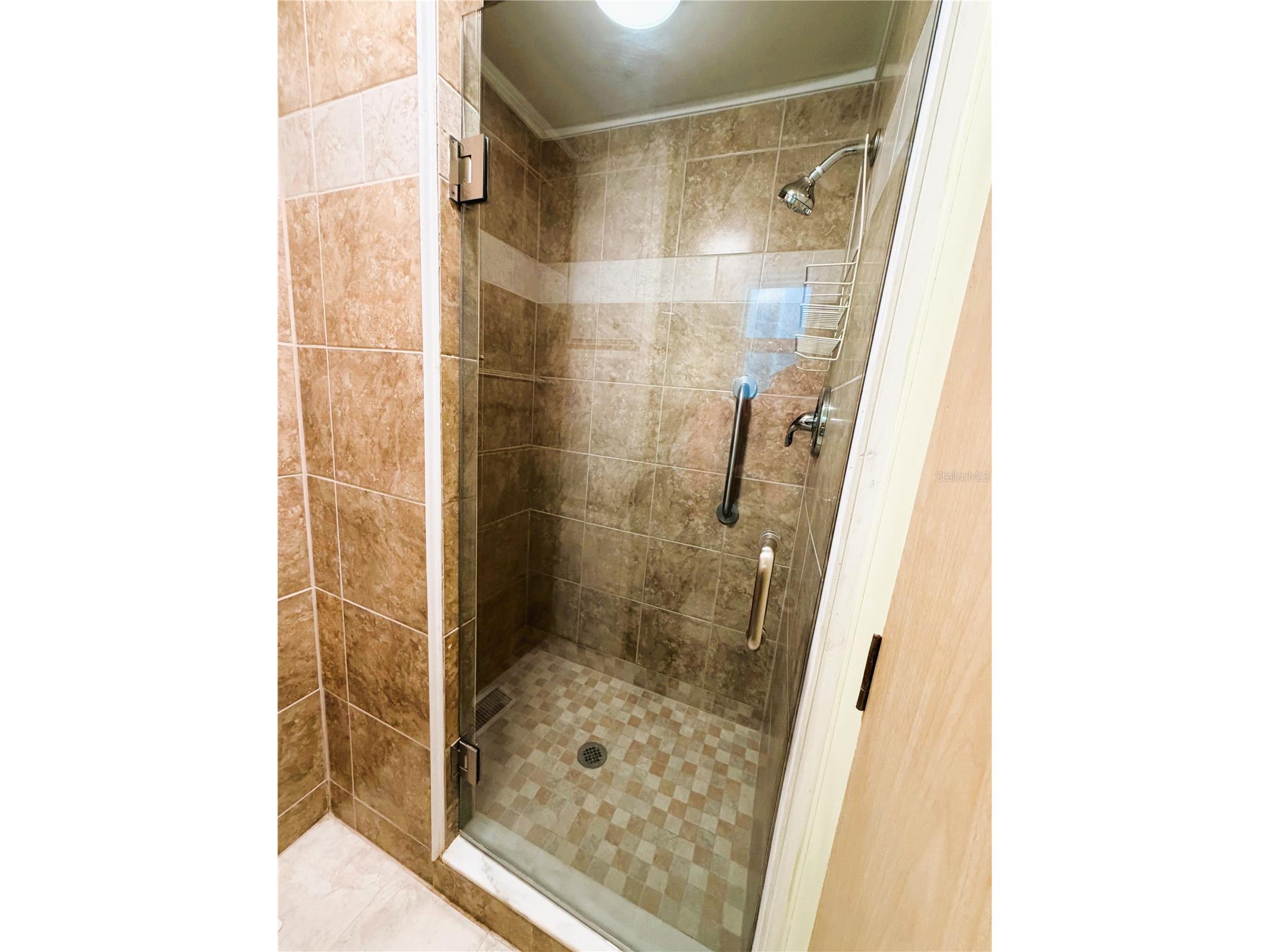 346 Palo Verde Drive Leesburg FL 34748 R4911611 image39