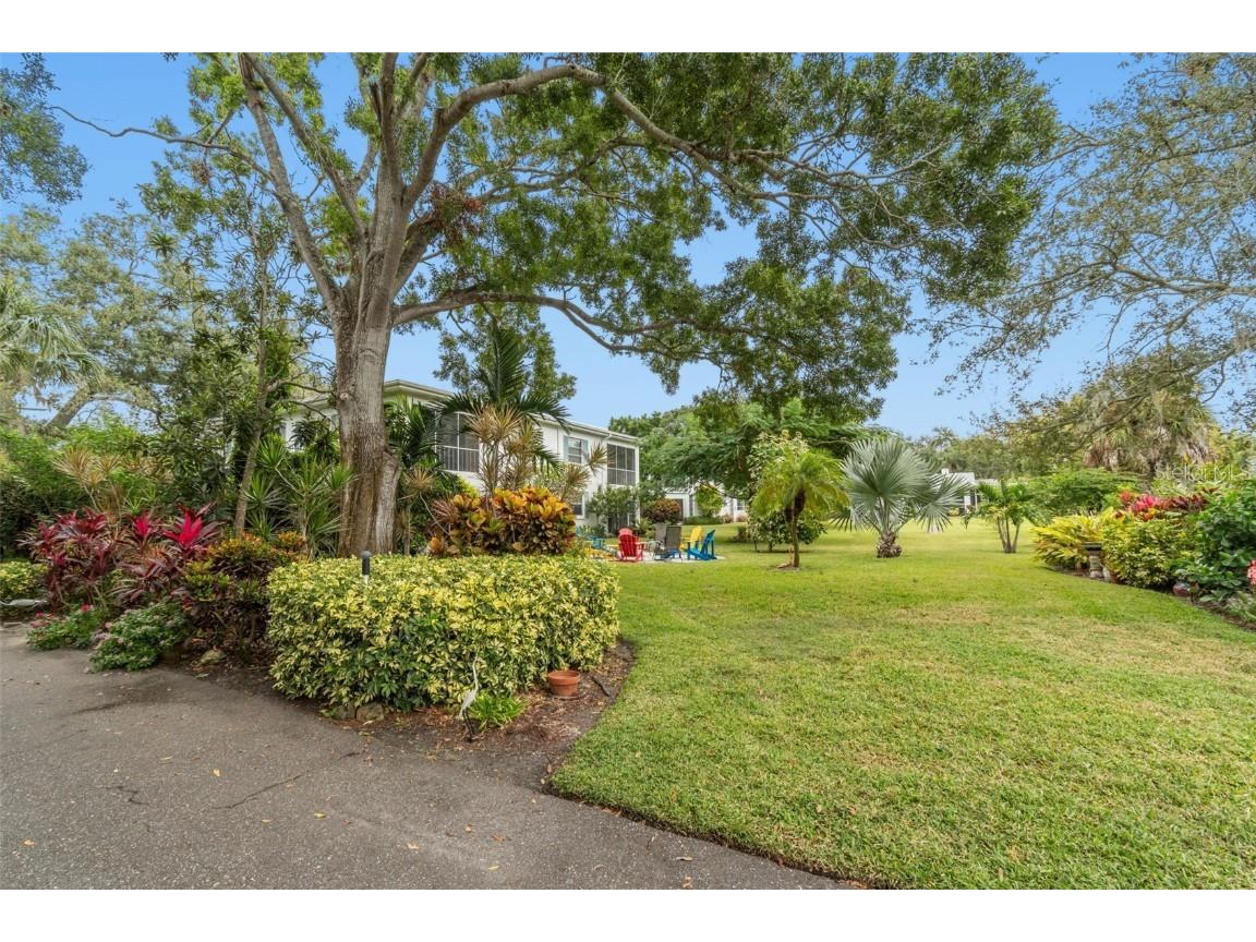 346 Pennsylvania Avenue #3 Palm Harbor FL 34683 - GULF OF MEXICO TB8445858 image30