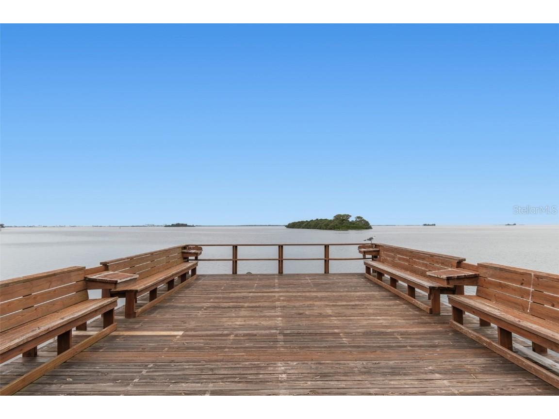 346 Pennsylvania Avenue #3 Palm Harbor FL 34683 - GULF OF MEXICO TB8445858 image33