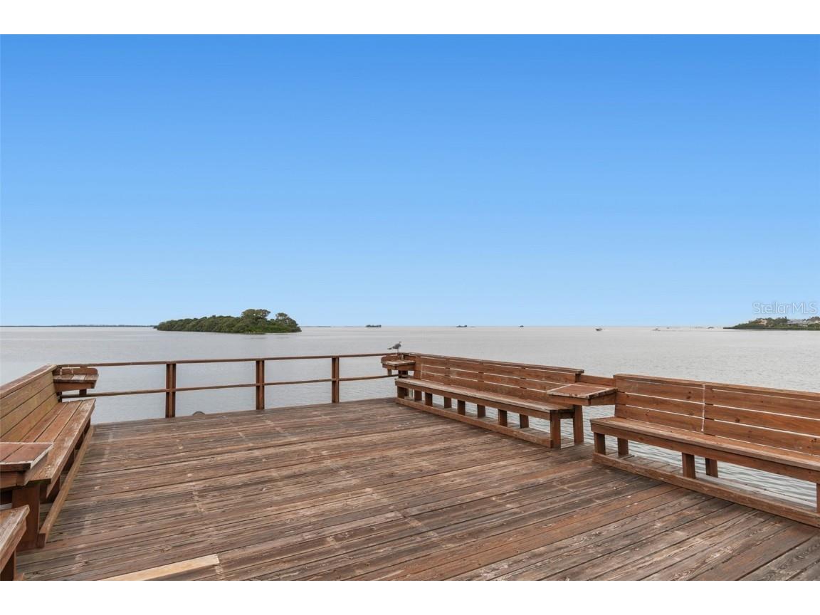 346 Pennsylvania Avenue #3 Palm Harbor FL 34683 - GULF OF MEXICO TB8445858 image35