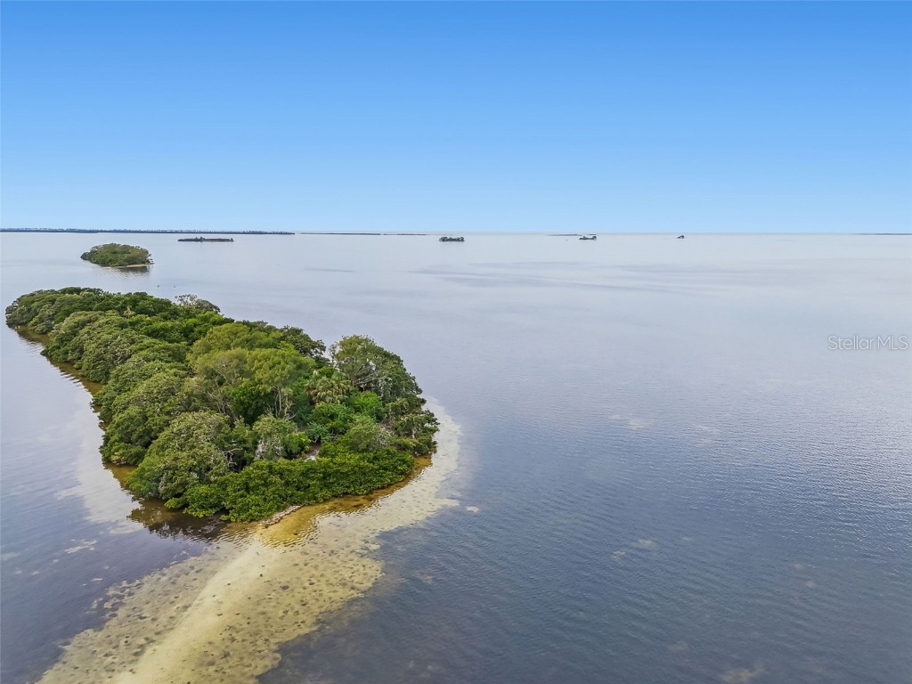 346 Pennsylvania Avenue #3 Palm Harbor FL 34683 - GULF OF MEXICO TB8445858 image44