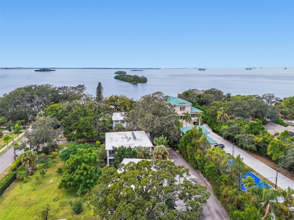 346 Pennsylvania Avenue #3 Palm Harbor FL 34683 - GULF OF MEXICO TB8445858 image46