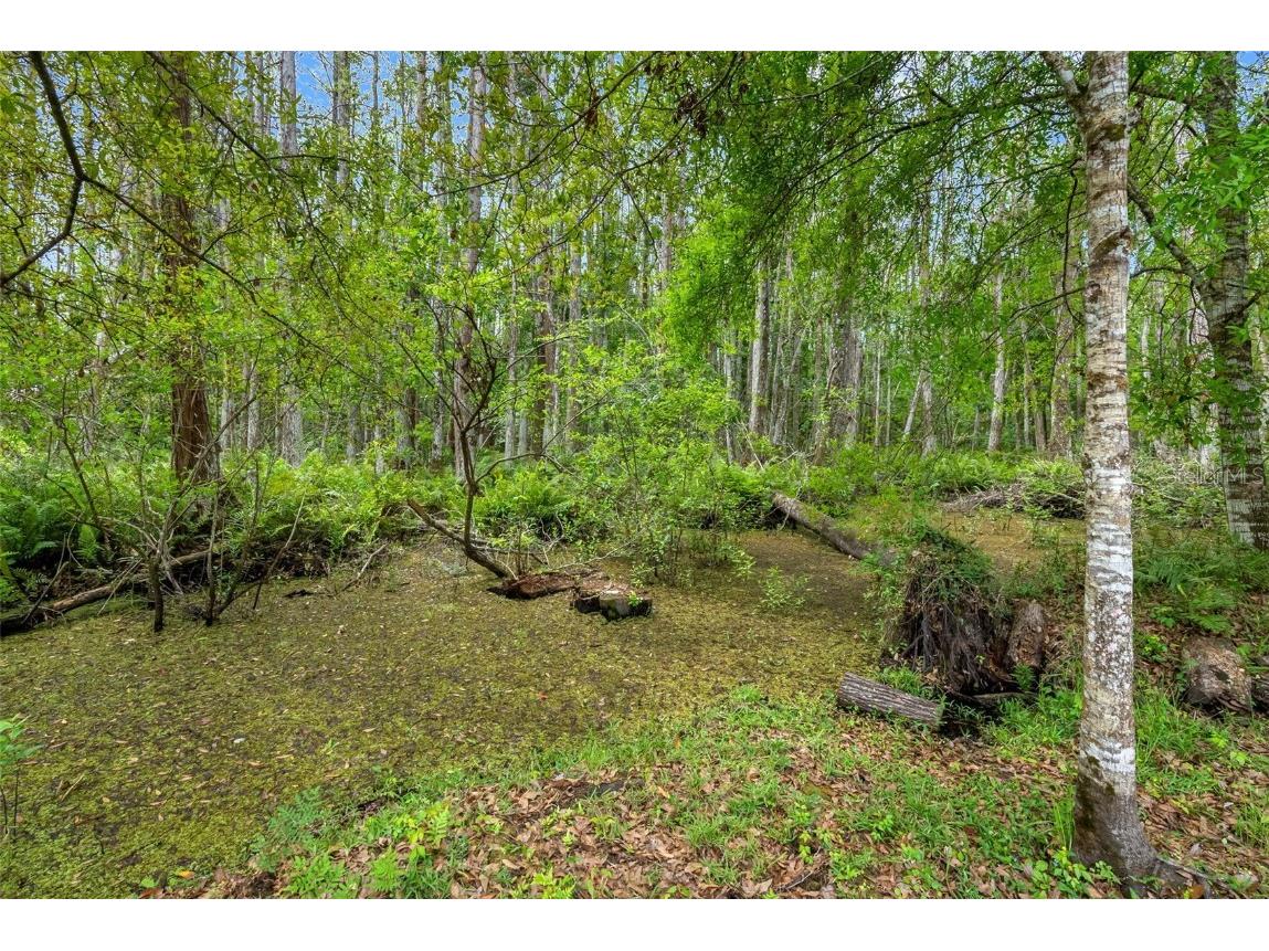 346 Ranch Road Tarpon Springs FL 34688 TB8369701 image10