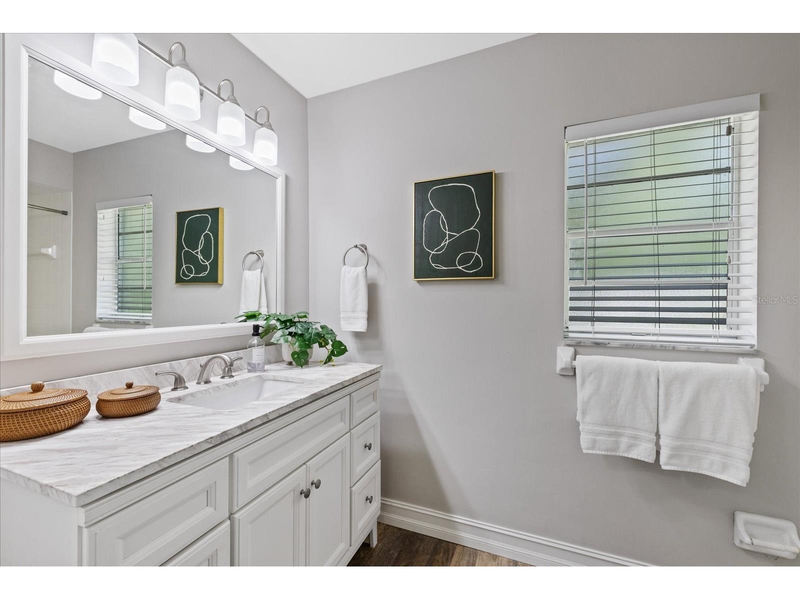 346 Ranch Road Tarpon Springs FL 34688 TB8530153 image28
