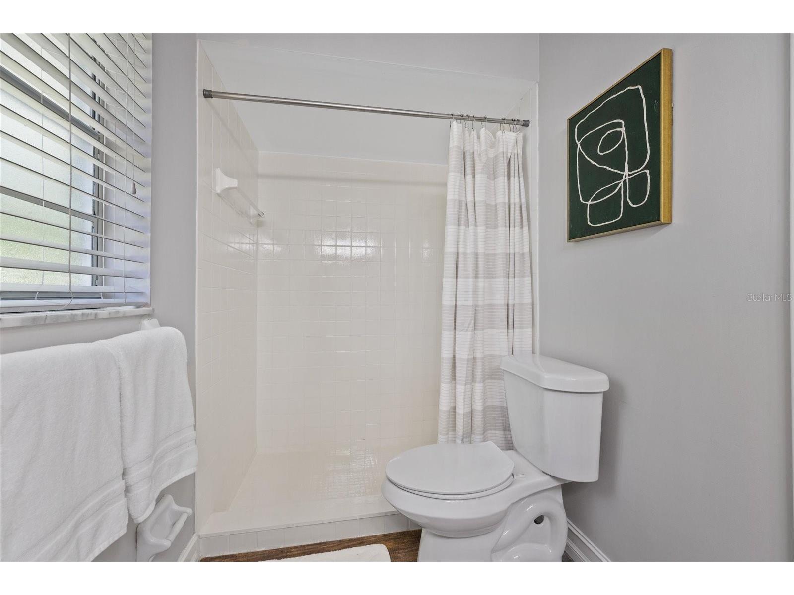 346 Ranch Road Tarpon Springs FL 34688 TB8530153 image29