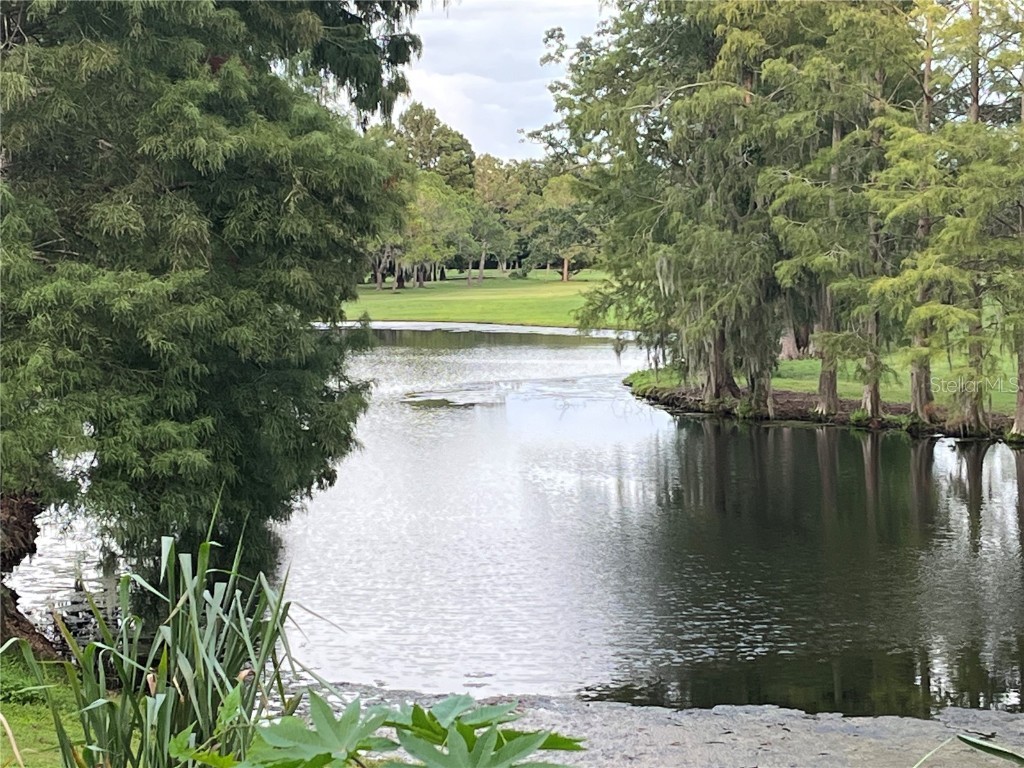 346 S Ranger Boulevard Winter Park FL 32792 S5134662 image24