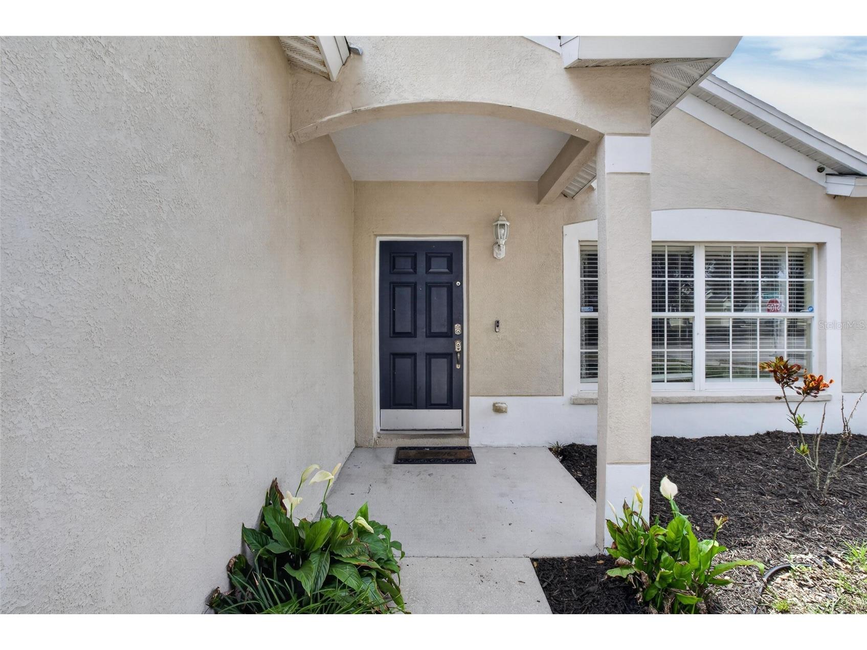 346 Summer Sails Drive Valrico FL 33594 TB8528841 image9