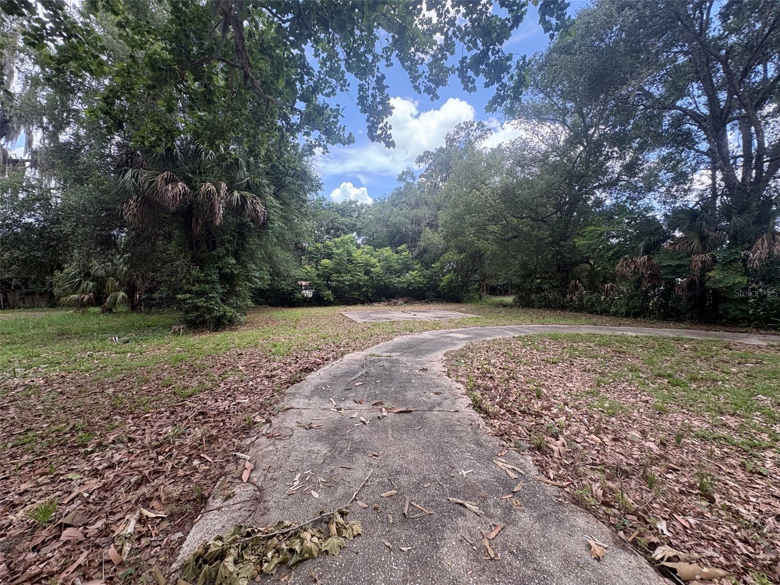 346 W University Avenue Orange City FL 32763 O6417049 image4