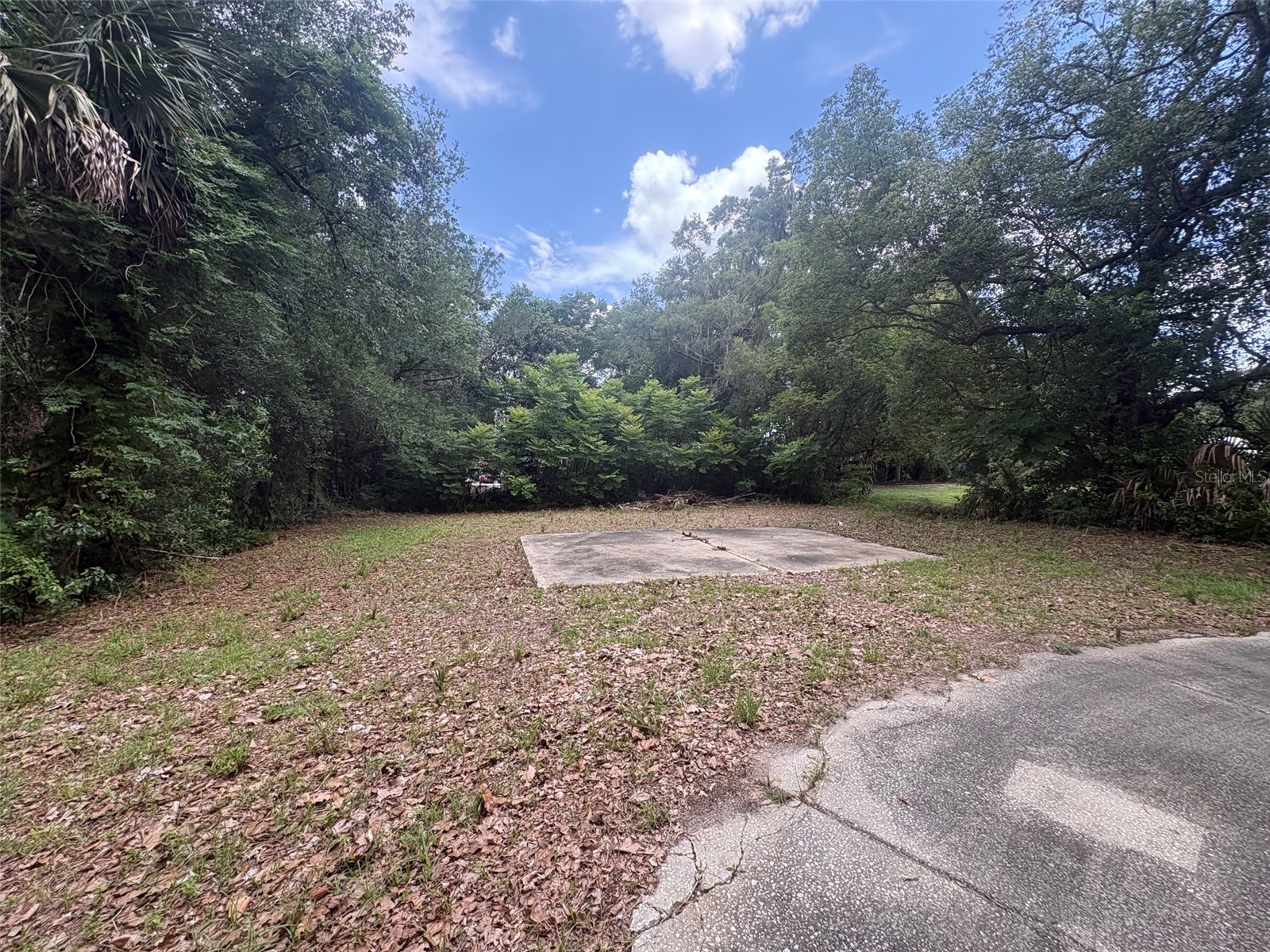 346 W University Avenue Orange City FL 32763 O6417049 image5