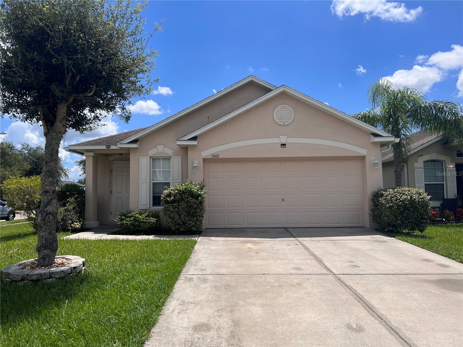 3460 Bellericay Lane Land O Lakes FL 34638 TB8522640 image3