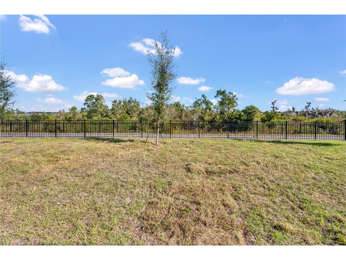 3460 Chinotto Drive Lake Alfred FL 33850 O6354260 image5