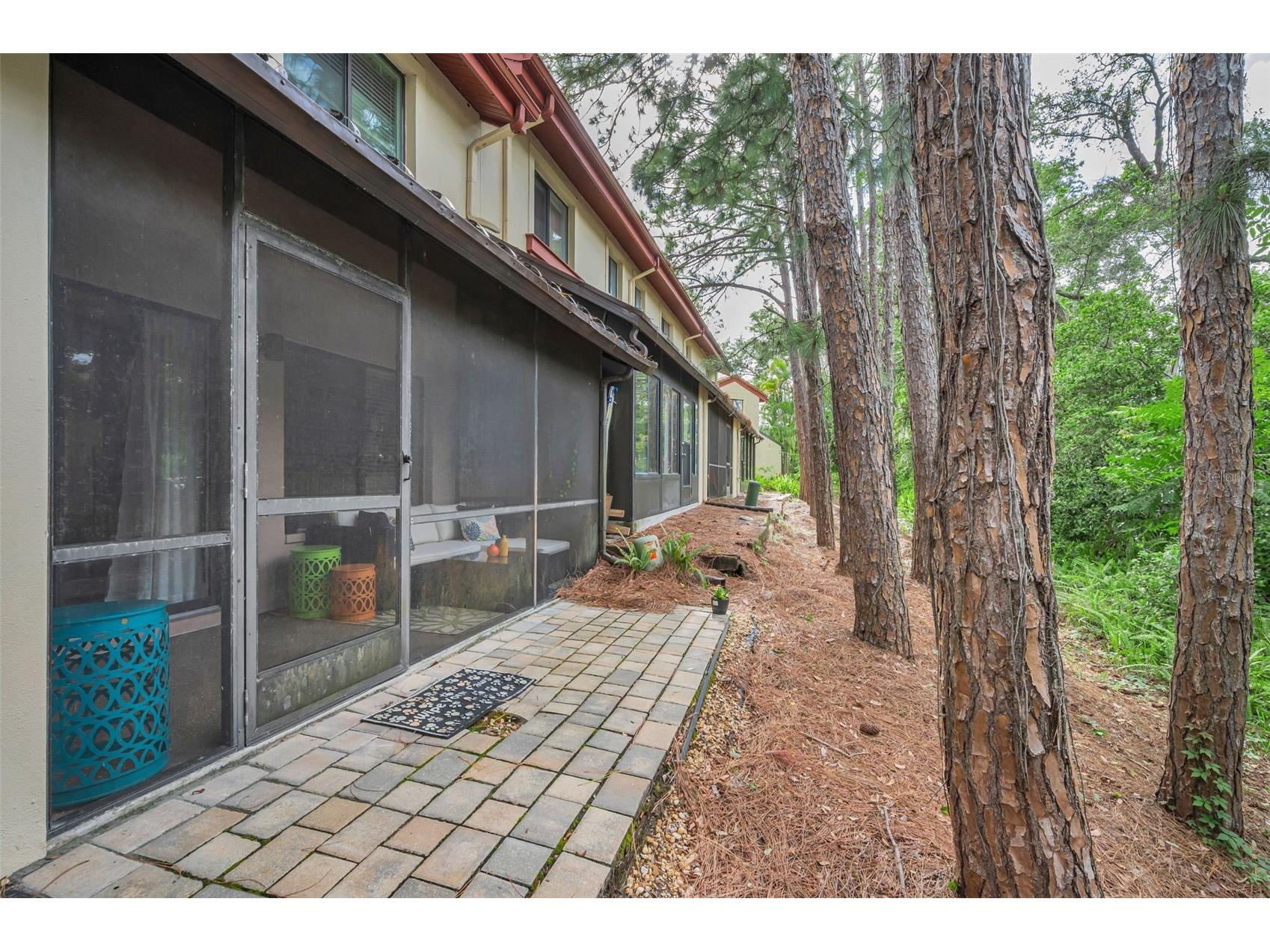 3460 Countryside Boulevard #44 Clearwater FL 33761 TB8496101 image38