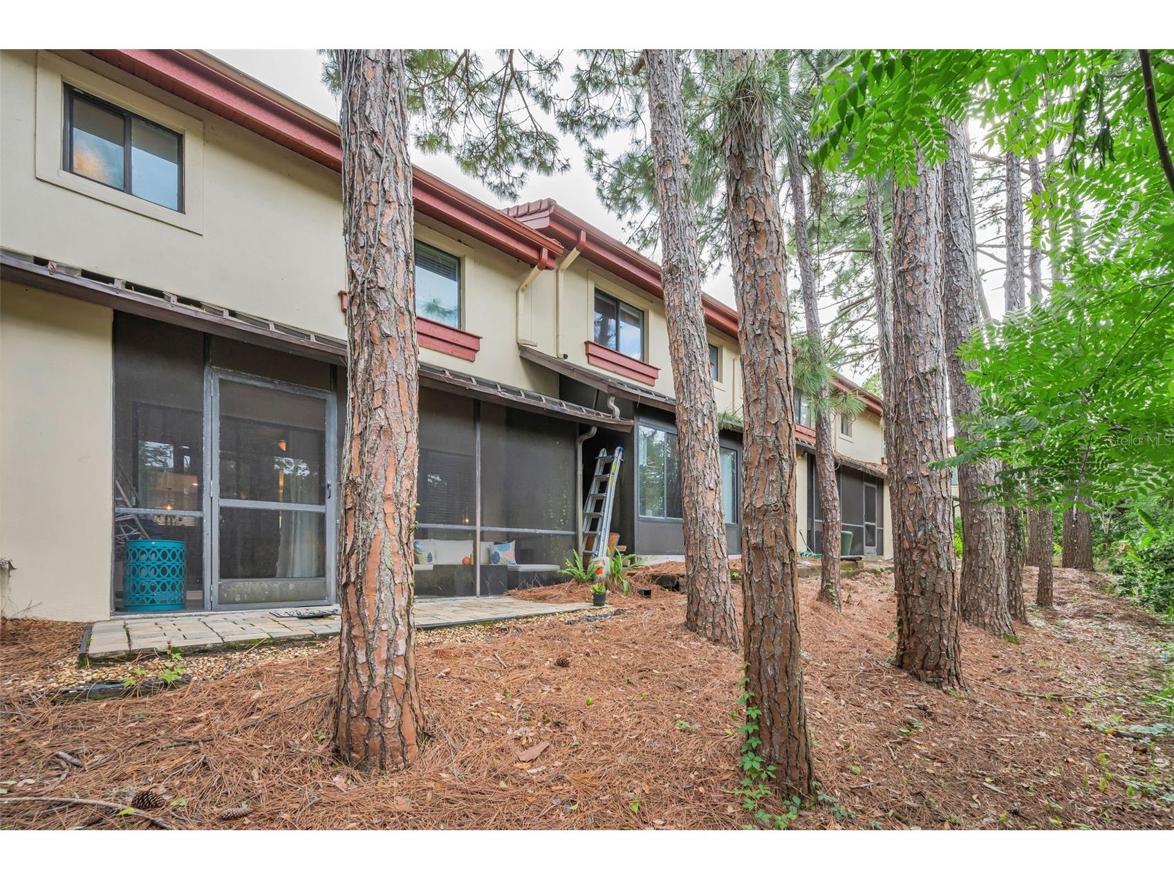 3460 Countryside Boulevard #44 Clearwater FL 33761 TB8496101 image39