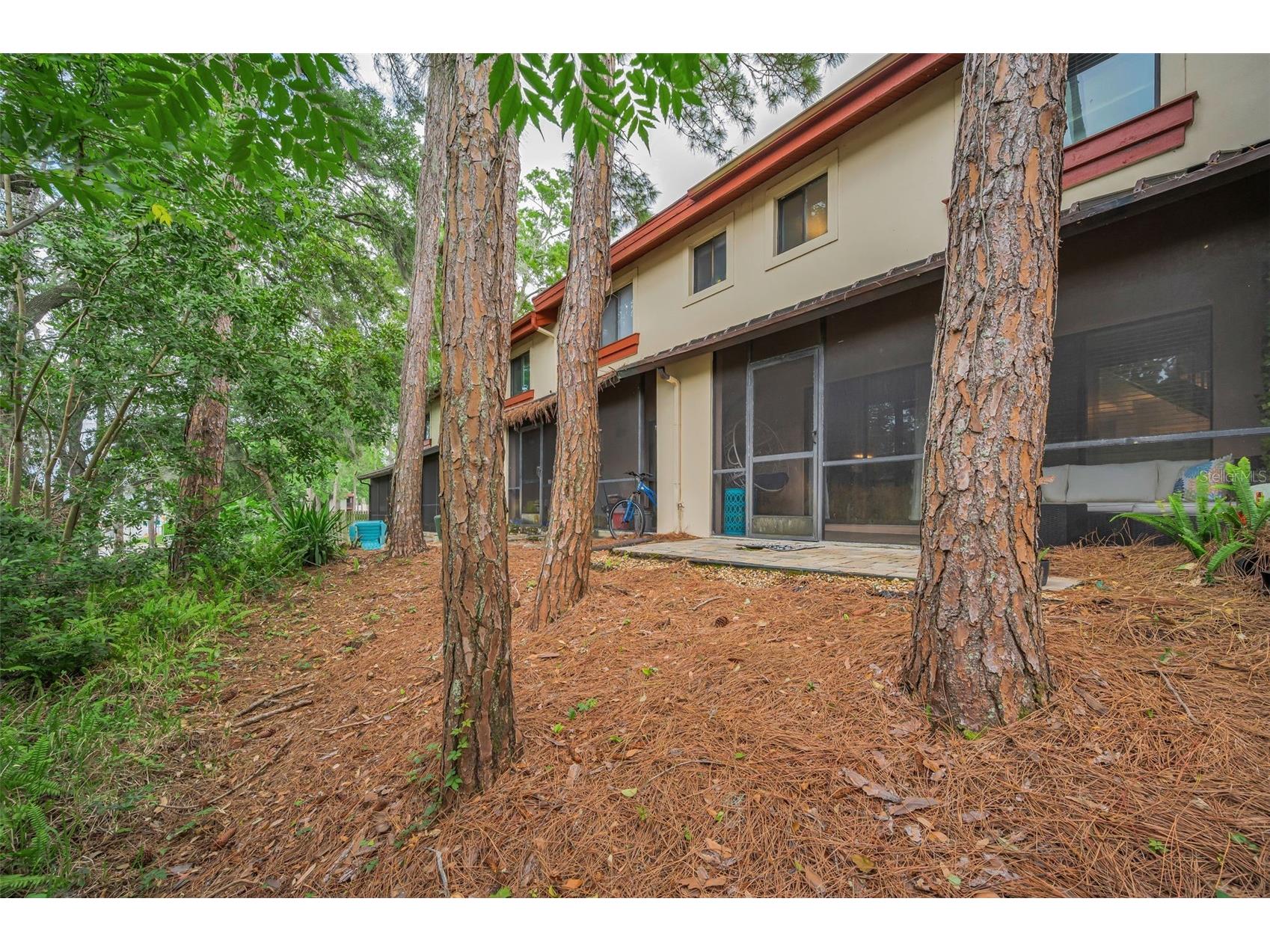3460 Countryside Boulevard #44 Clearwater FL 33761 TB8496101 image40
