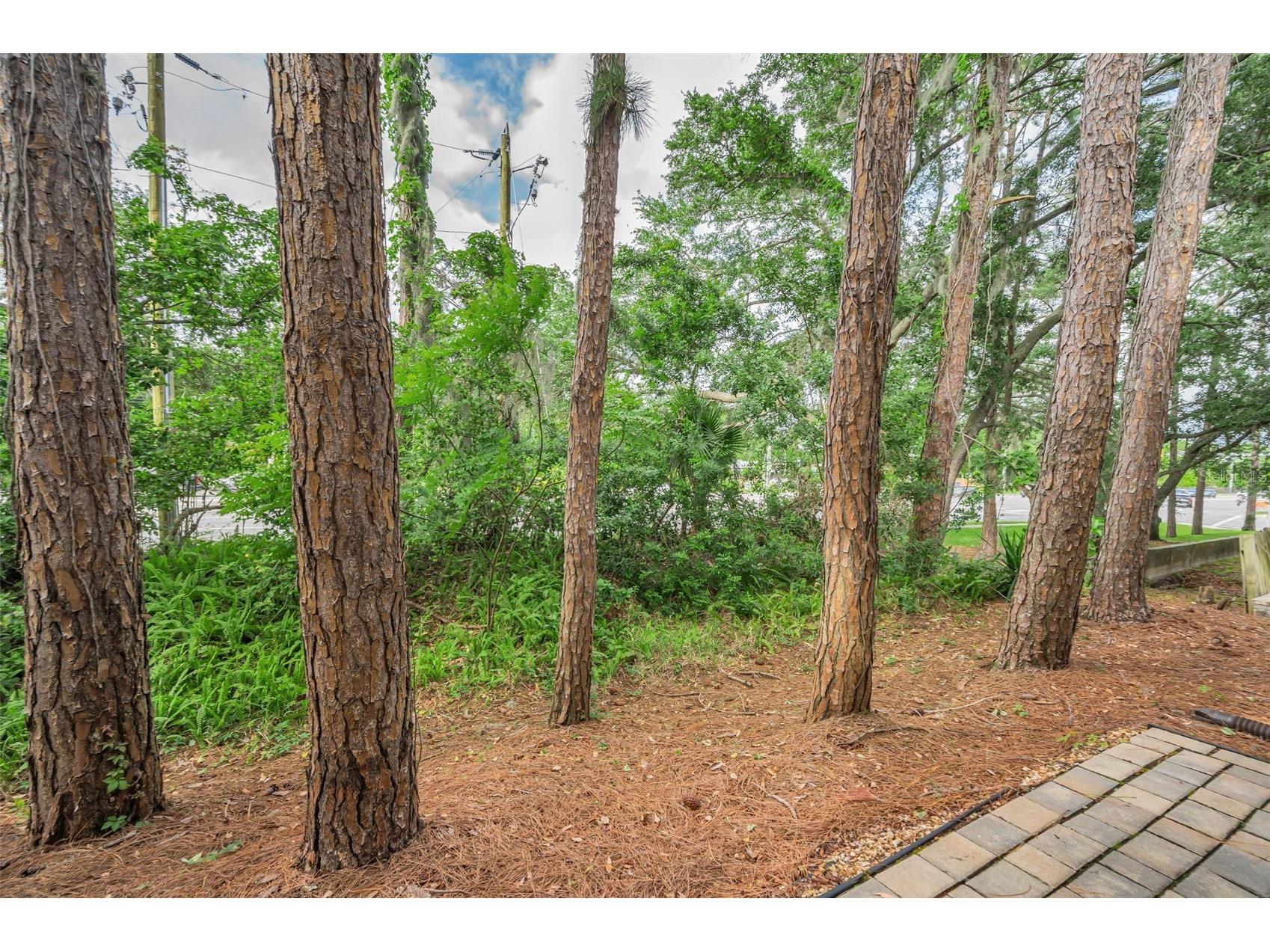 3460 Countryside Boulevard #44 Clearwater FL 33761 TB8496101 image41