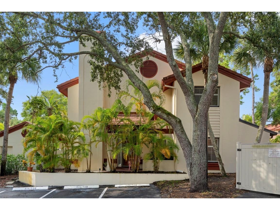 3460 Countryside Boulevard #66 Clearwater FL 33761 TB8412868 image1