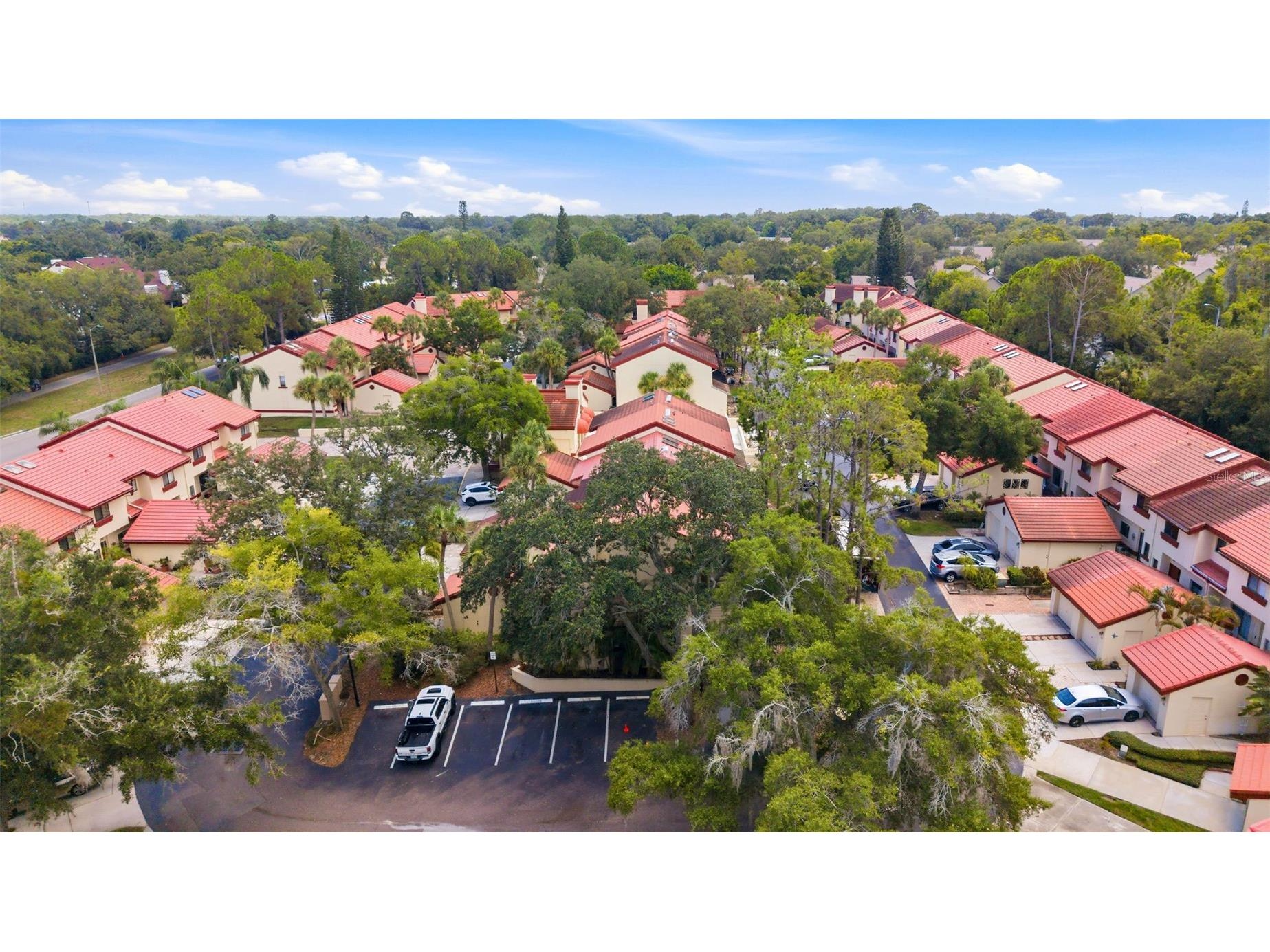 3460 Countryside Boulevard #66 Clearwater FL 33761 TB8528105 image21