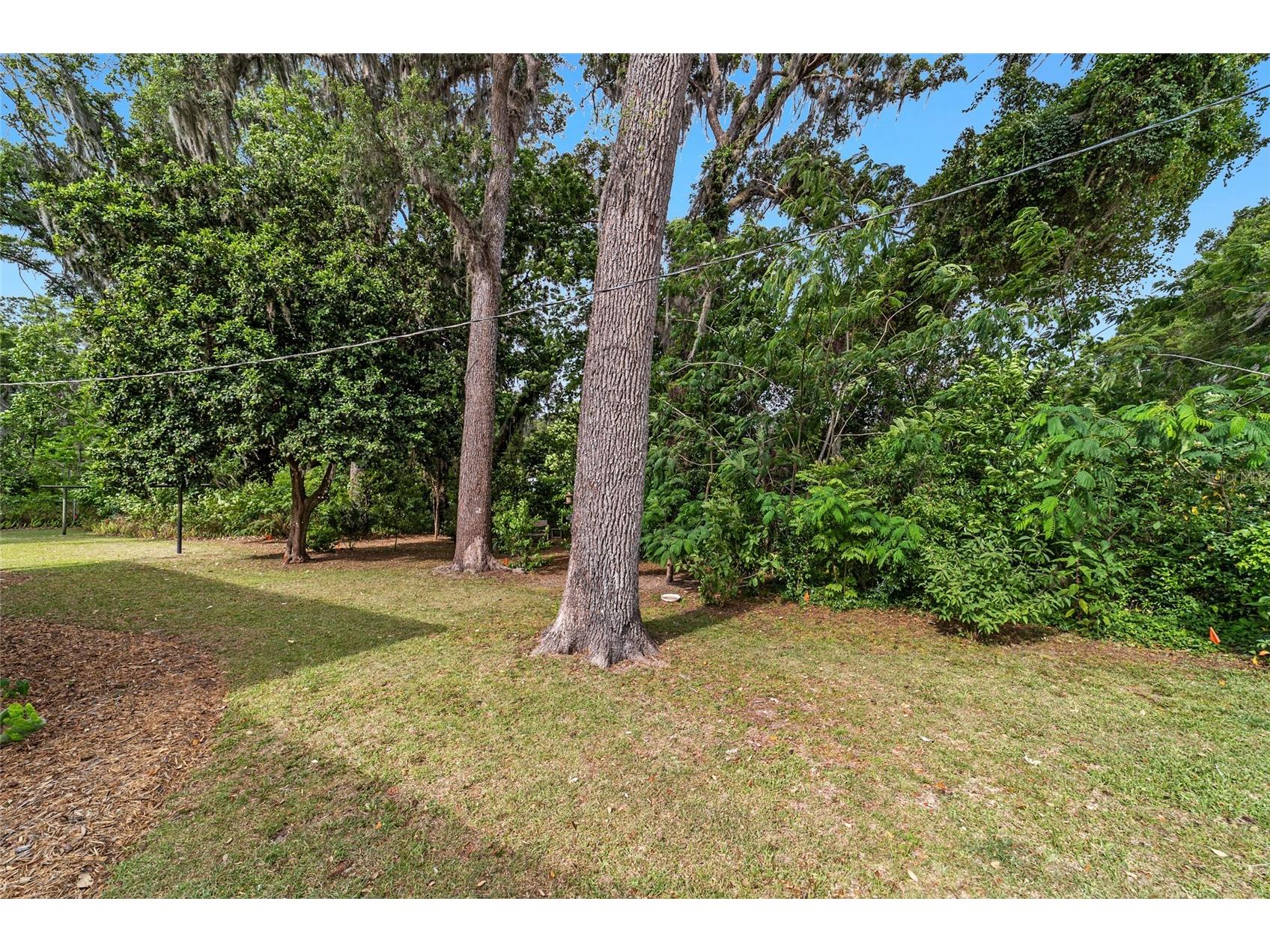 3460 SE 131st Place Belleview FL 34420 OM723195 image59