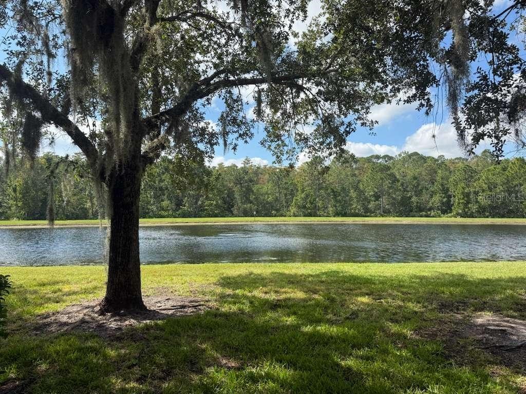 3460 Victoria Pines Drive #160 Orlando FL 32829 S5142631 image1