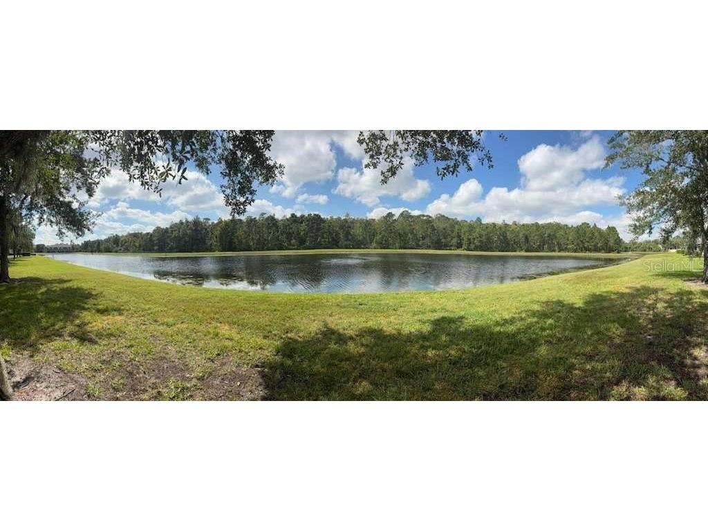 3460 Victoria Pines Drive #160 Orlando FL 32829 S5142631 image27