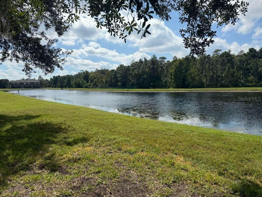 3460 Victoria Pines Drive #160 Orlando FL 32829 S5142631 image28