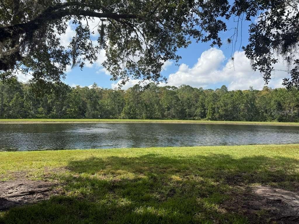 3460 Victoria Pines Drive #160 Orlando FL 32829 S5142631 image3