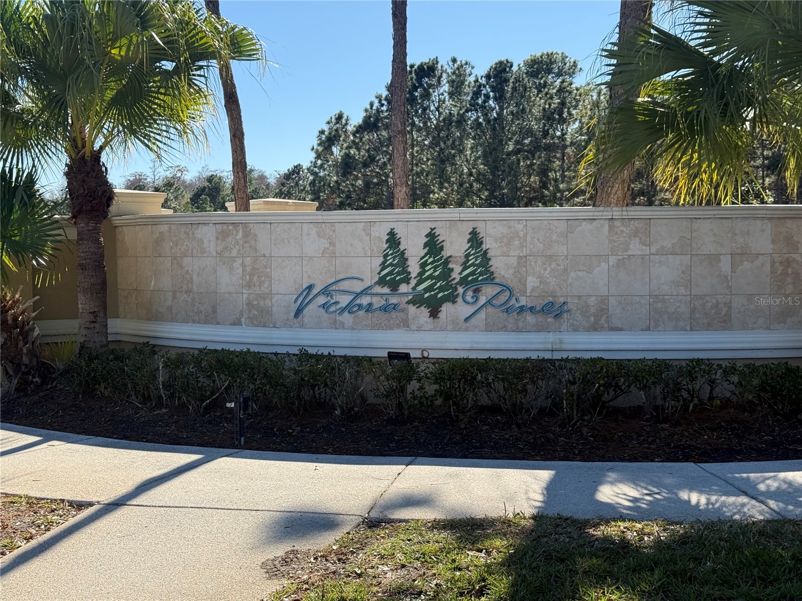 3460 Victoria Pines Drive #160 Orlando FL 32829 S5142631 image41