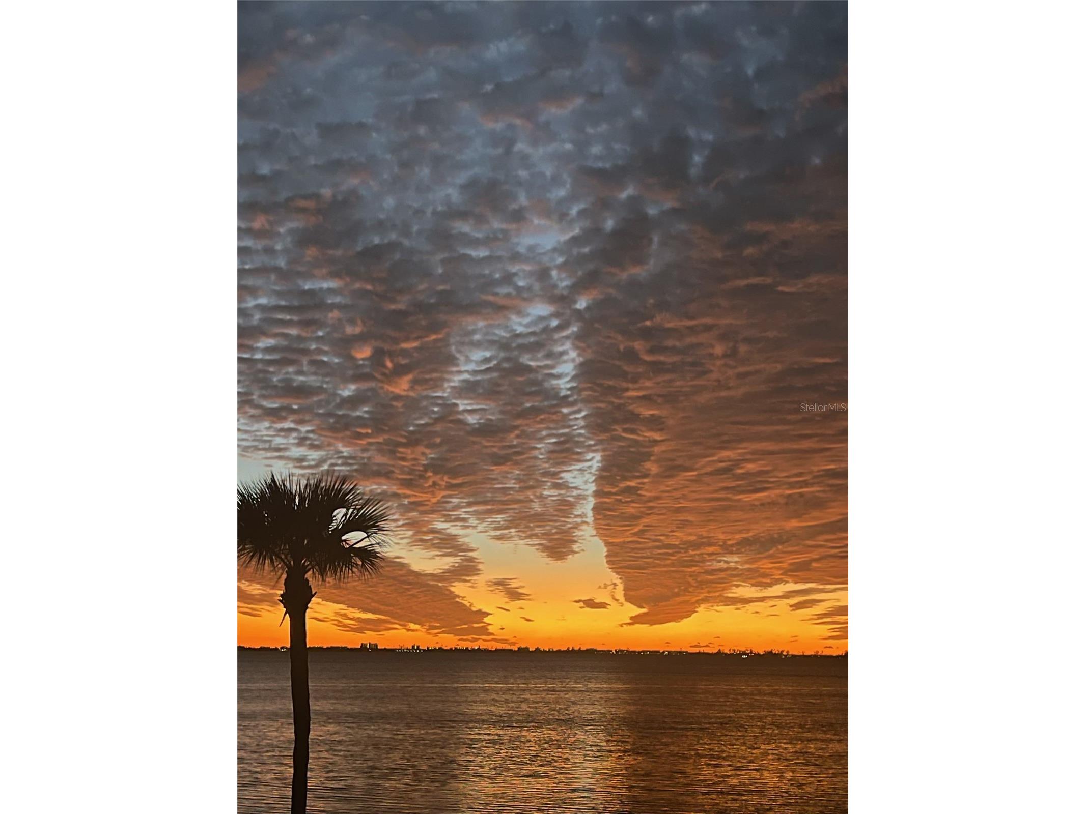 3460 Wild Oak Bay Boulevard #143 Bradenton FL 34210 - SARASOTA BAY A4693045 image37