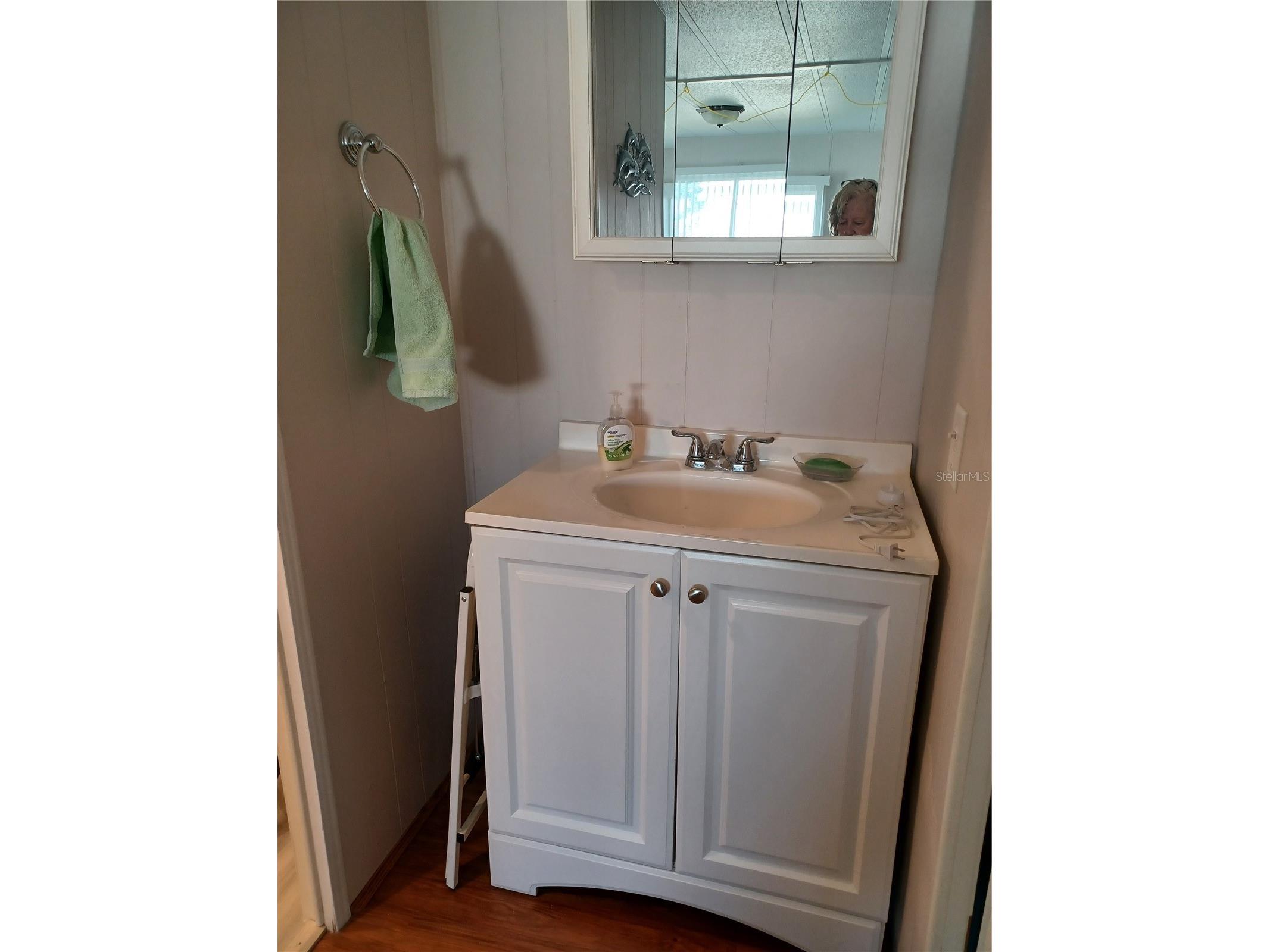 34604 Petunia Place Zephyrhills FL 33541 TB8471452 image14