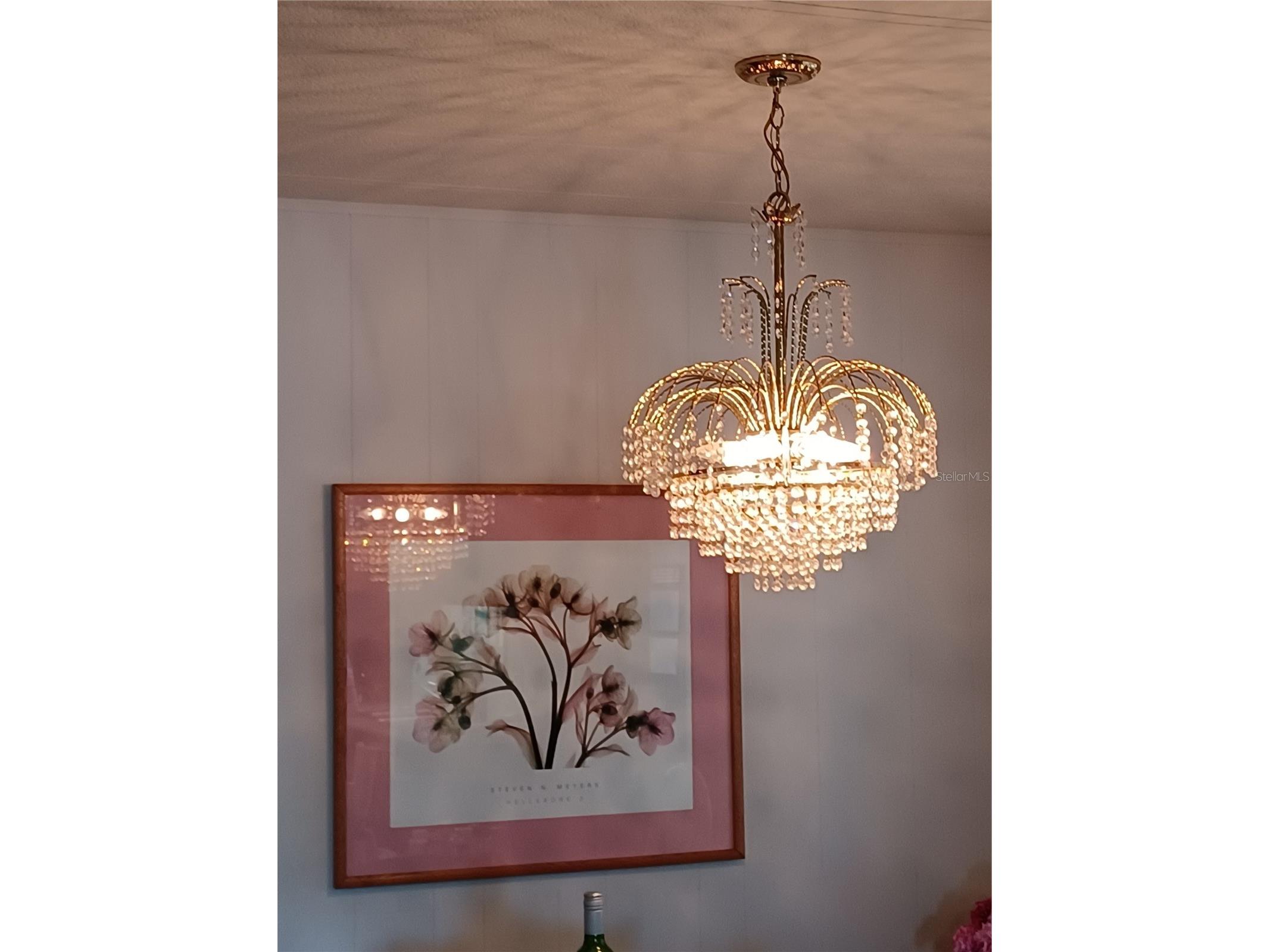 34604 Petunia Place Zephyrhills FL 33541 TB8471452 image23