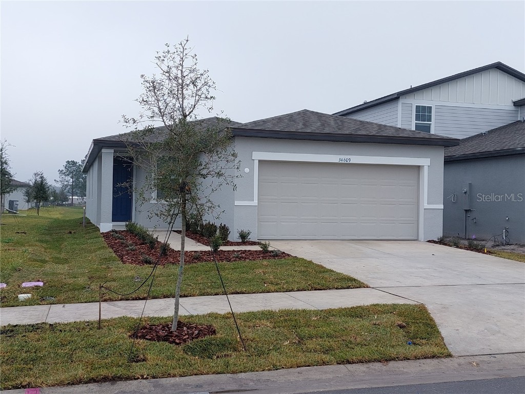 34609 Telluride Lane Zephyrhills FL 33541 T3420633 image1