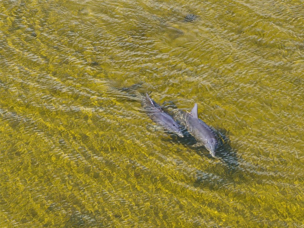 3461 Cyclone Drive Weeki Wachee FL 34607 - GULF OF AMERICA W7881013 image13