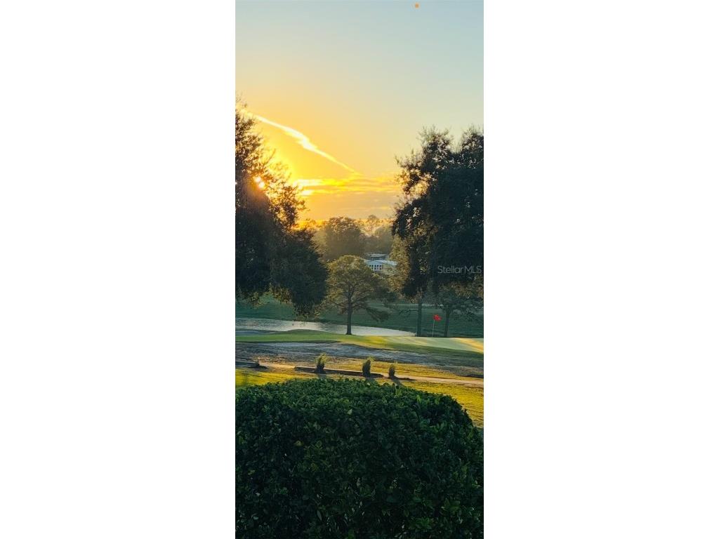 3461 Greenbluff Road #1594 Zellwood FL 32798 - LAKE GRASSMERE AND LAKE COHEN O6341276 image2