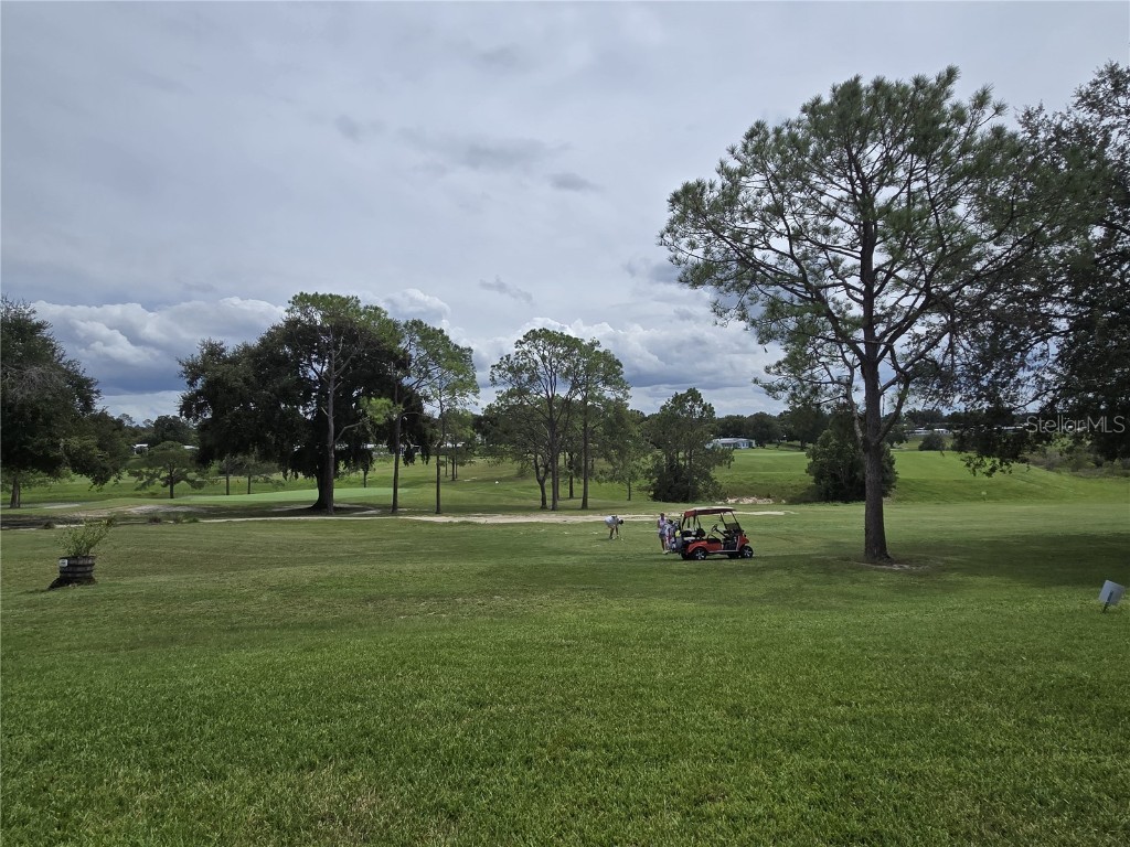 3461 Greenbluff Road #1594 Zellwood FL 32798 - LAKE GRASSMERE AND LAKE COHEN O6341276 image7