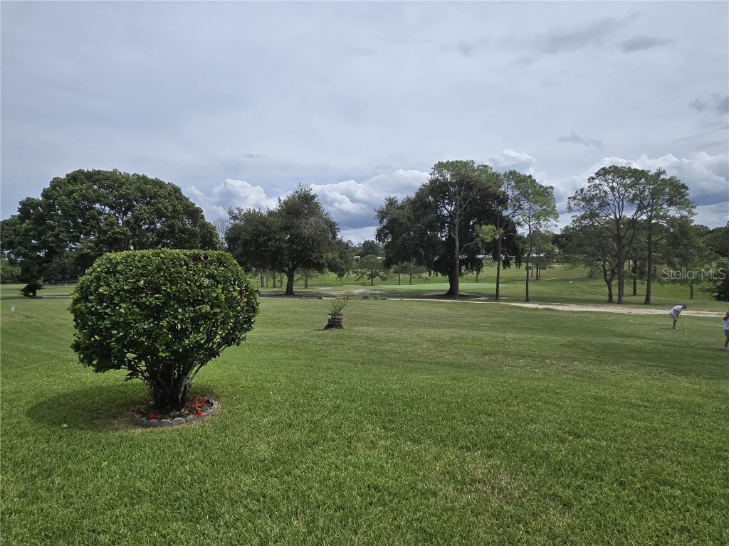 3461 Greenbluff Road #1594 Zellwood FL 32798 - LAKE GRASSMERE AND LAKE COHEN O6341276 image8